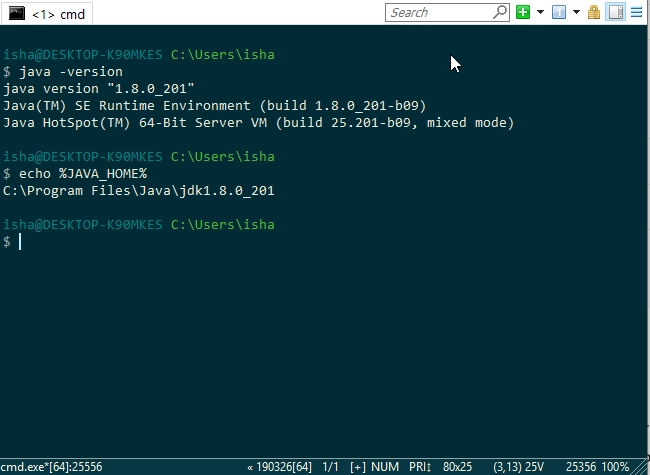 java_home inconsistent type for assignment