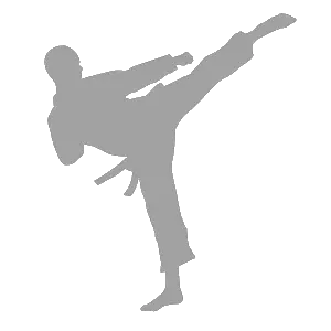 Karate_DSL_Techndeck