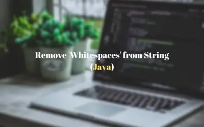 Java – How to remove ‘WHITESPACES’ from a String? – Simplest Example